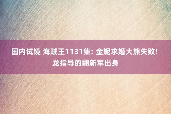 国内试镜 海贼王1131集: 金妮求婚大熊失败! 龙指导的翻
