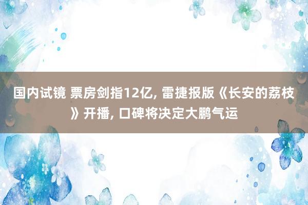 国内试镜 票房剑指12亿, 雷捷报版《长安的荔枝》开播, 口
